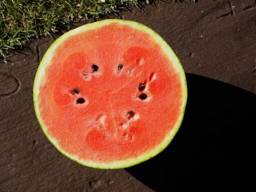 Watermelon In Half